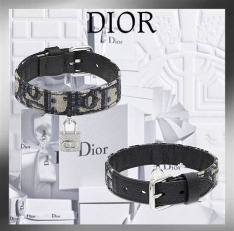 christian Dior dog accessories